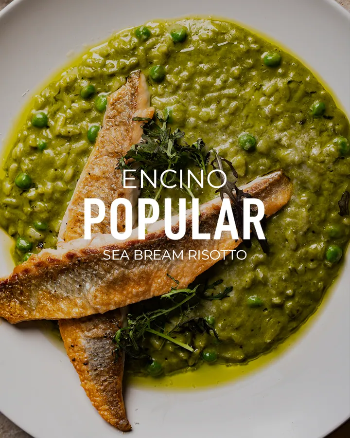 Popular Encino social media creative by GetX Marketing